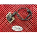 Bobine cylindre arrière de 944 ST2 Ducati 