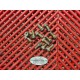 Vis de disques de frein avant de 944 ST2 Ducati 