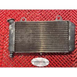 Radiateur pour MT03 06-13 *