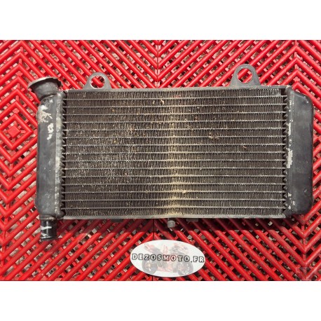 Radiateur pour MT03 06-13 *
