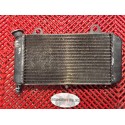 Radiateur pour MT03 06-13 *