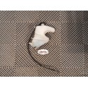 Bocal de refroidissement pour CBR 1000 04-07