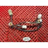 Faisceau de bobines pour CBR 1000 04-07