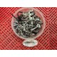 Lot de visserie pour CBR 1000 06-07