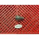 Clapet de décharge pour CBR 1000 04-07