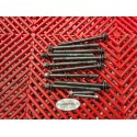 Visserie de culasse pour CBR 1000 06-07