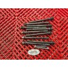 Visserie de culasse pour CBR 1000 06-07