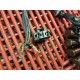 Alternateur pour CBR 1000 06-07 *