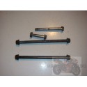 Lot d' axes de fixation pour ER6 06-08