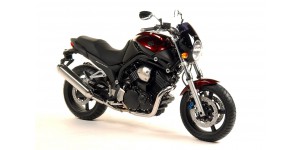 BT 1100 Bulldog 2001-2007